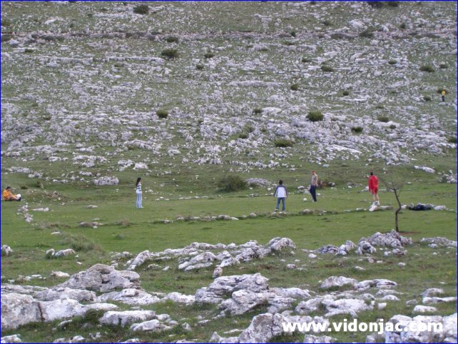 Omis-dalmatinski MM_208